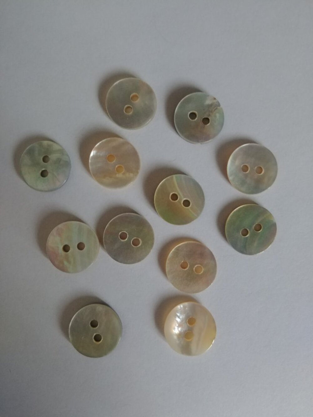 4/$20 Set of 12 matching delicate shell look buttons